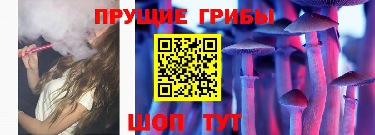Псилоцибиновые грибы MAGIC MUSHROOMS  Вход с VPN  закладки  Ногинск  Псилоцибиновые грибы GOLDEN TEACHER 